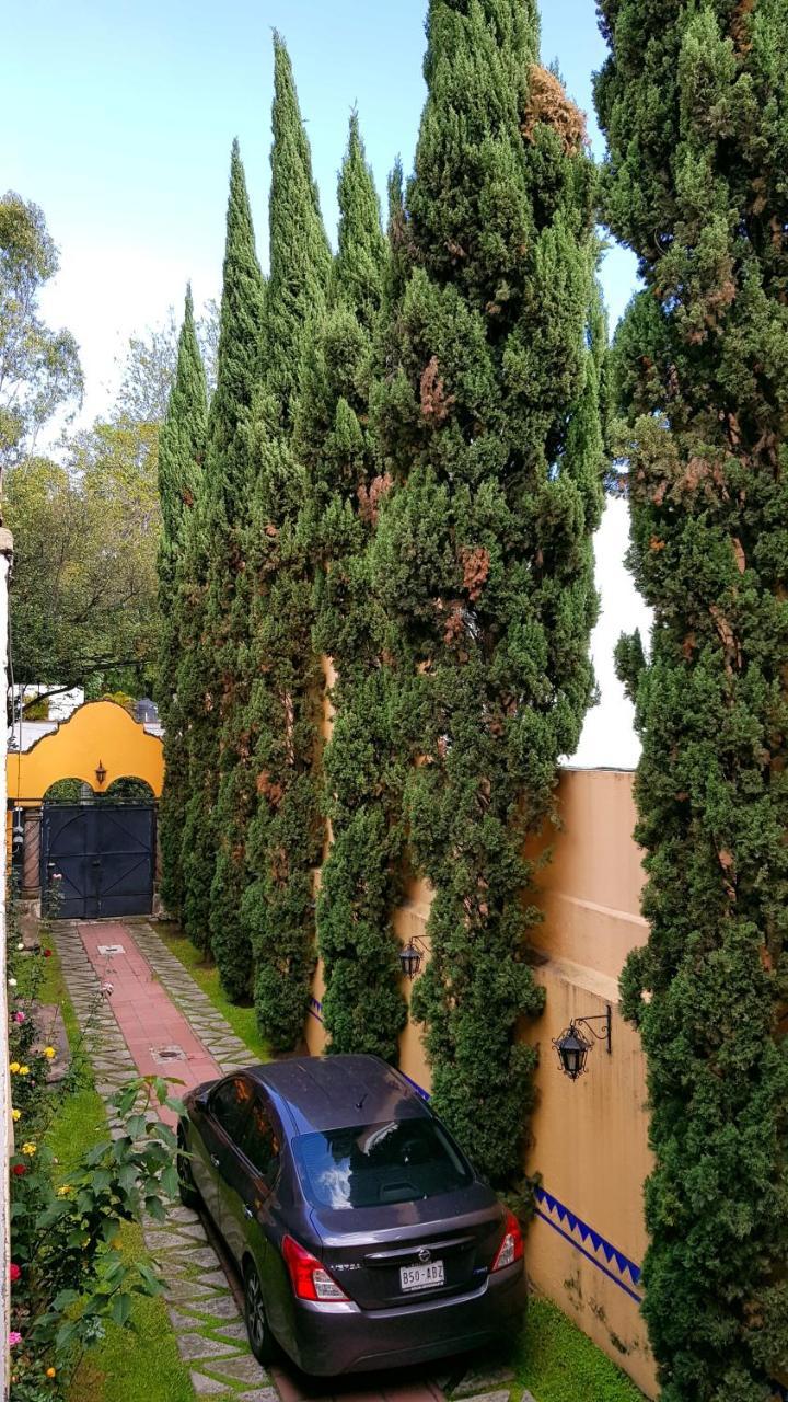 Villa Alfonsina เม็กซิโกซิตี้ ภายนอก รูปภาพ